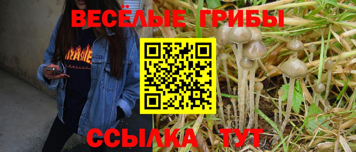 Псилоцибиновые грибы ЛСД  Вход с VPN  Знаменск 